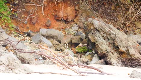 waves crash against rocks on a sandy beach