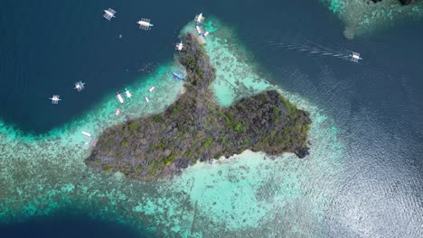 tropical malwawey island in coron with snorkeling tour boats at reef, drone top-down