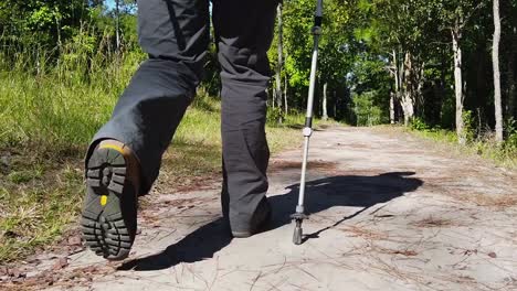 vista de ángulo bajo del excursionista caminando en el bosque con palo