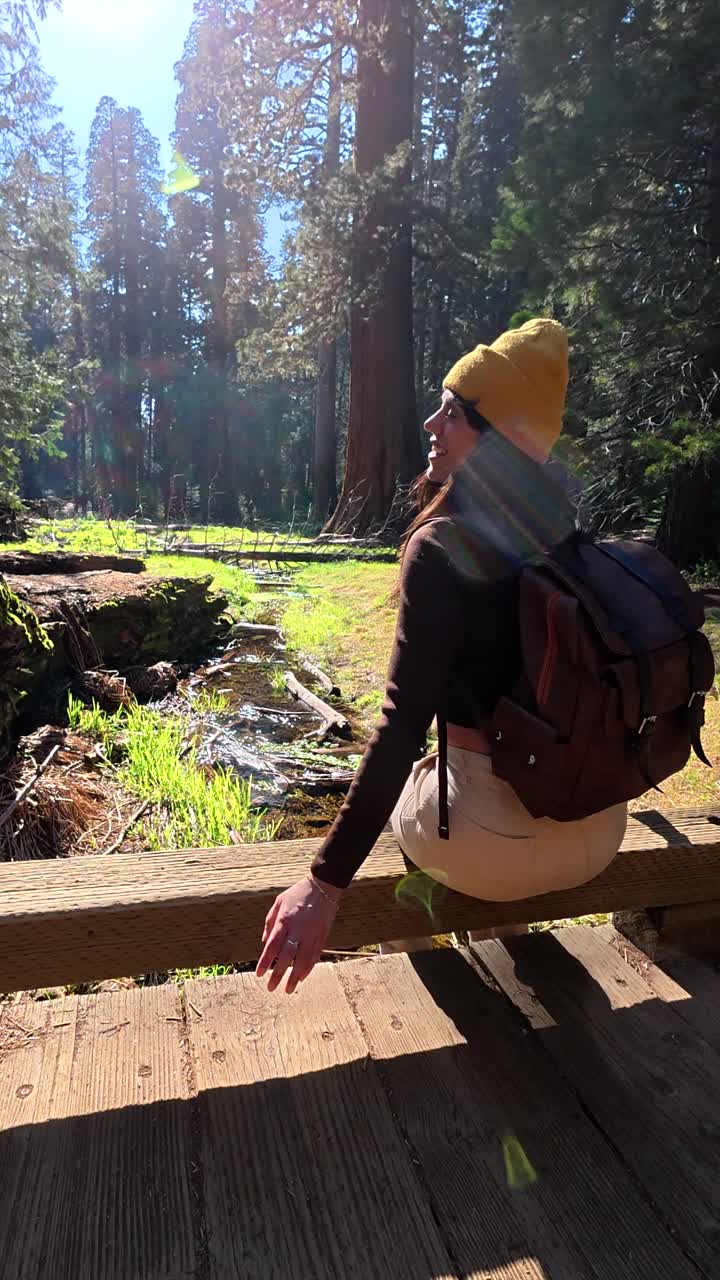 Giovane donna seduta accanto a un ruscello in una soleggiata foresta di sequoie