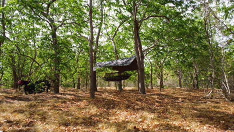 army hammock under the roof hanging from the tree in the forest