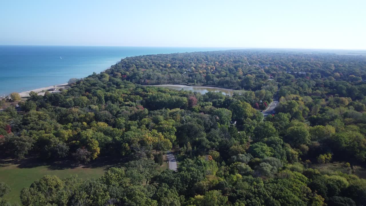 휴런 호를 따라 온타리오 남부에 있는 울창한 숲