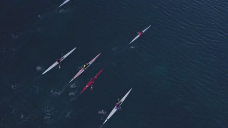 Top down of group kayaks paddling on calm ocean at Mallorca, aerial