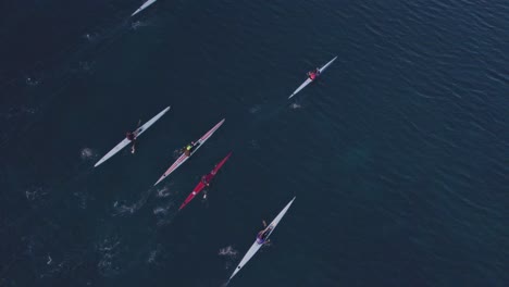 top down of group kayaks paddling on calm ocean at mallorca, aerial