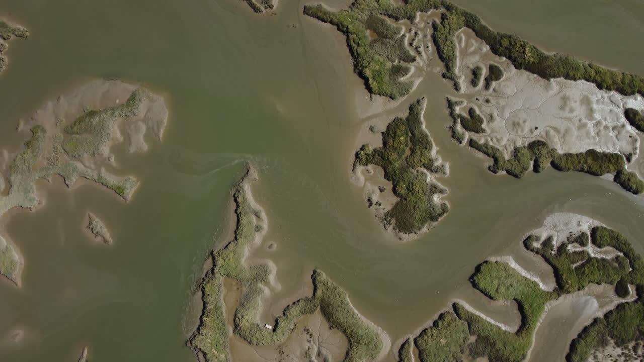 vista de arriba hacia abajo del área de reserva natural con pantano, agua, hierba verde y árboles - disparo de drones