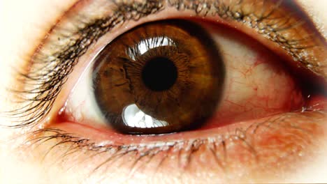 ojo macro 04