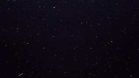 nevada contra el cielo nocturno, copos de nieve blanca cayendo por la noche, imágenes en bucle