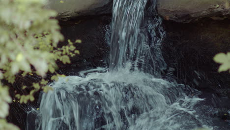 una pequeña cascada en la naturaleza