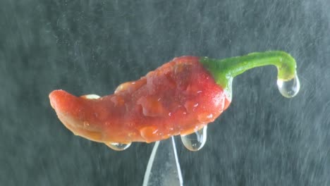 Jalapeno---Rote-Chilischote-Nass-Und-Tropfend-In-Strömendes-Wasser-Vor-Schwarzem-Hintergrund