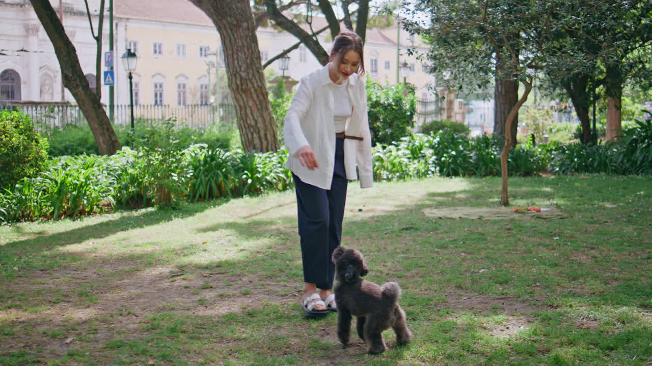 Woman training black poodle in sunny park. Active pet jumping on hind legs