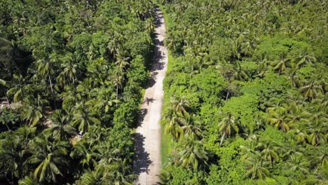 static aerial shot of scooter driving fast on palm tree lined road on siargao, the philippines