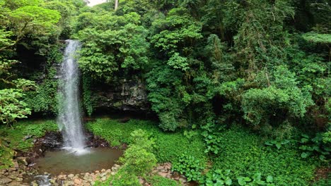 a tranquil waterfall cascades amidst dense greenery in dorrigo national park, captured in slow motion with vibrant lighting