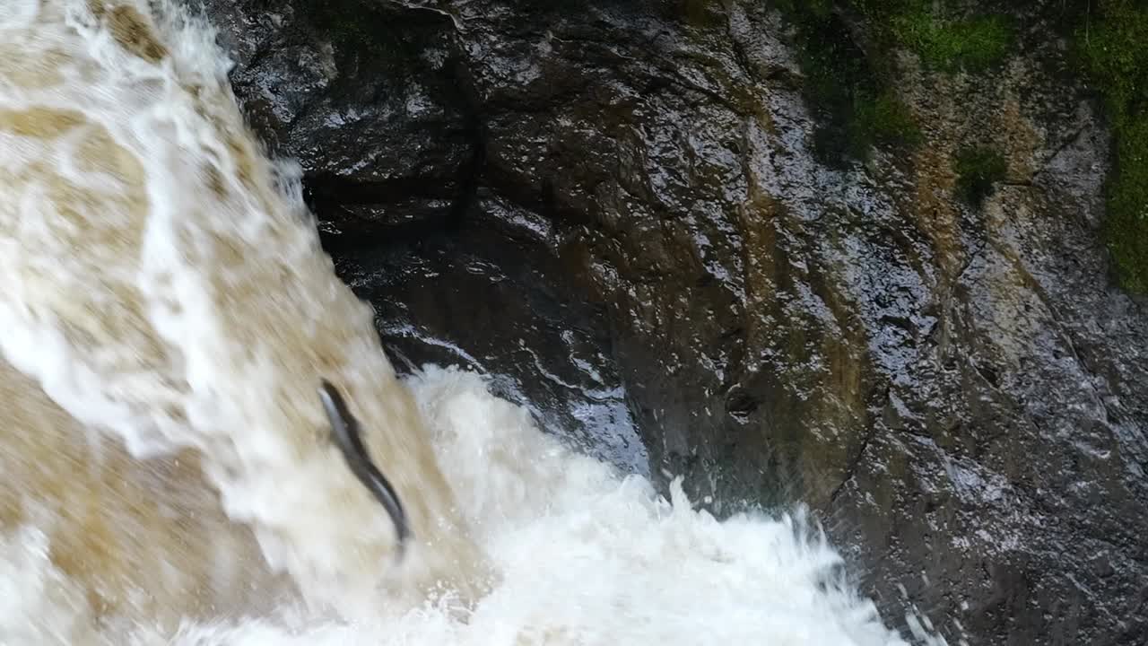 Close-up of a Waterfall Cascading Over Dark Rocks