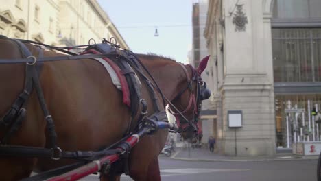 carruaje tirado por caballos en roma