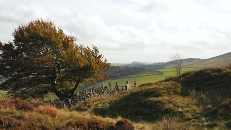 paisaje rural inglés con colores de otoño
