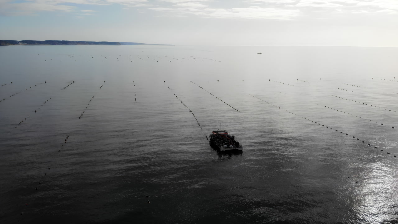 Aerial View Fishing Boat In Mist, Lines Of Buoys Stretching Toward Horizon, Silver Light Reflecting On Calm. Media