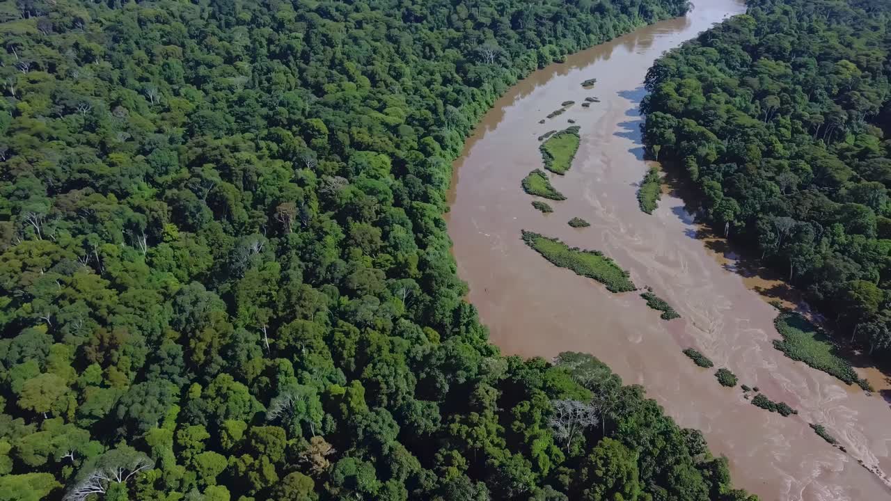 Aerial video capturing a lush green forest with a winding river