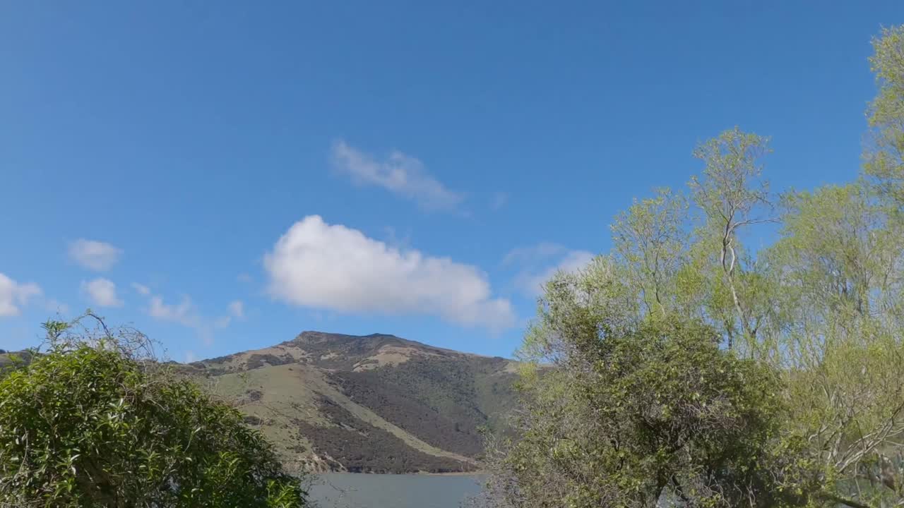 POV off-road cycling (wide view) showing glimpses of lake and hills while passing willow trees in springtime - Selwyn District (New Zealand)