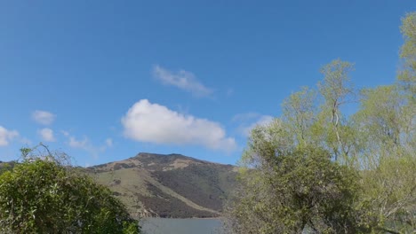 POV off-road cycling (wide view) showing glimpses of lake and hills while passing willow trees in springtime - Selwyn District (New Zealand)