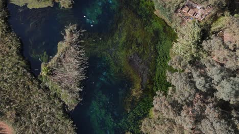 River-Flyover-View-Of-The-Ecosystem