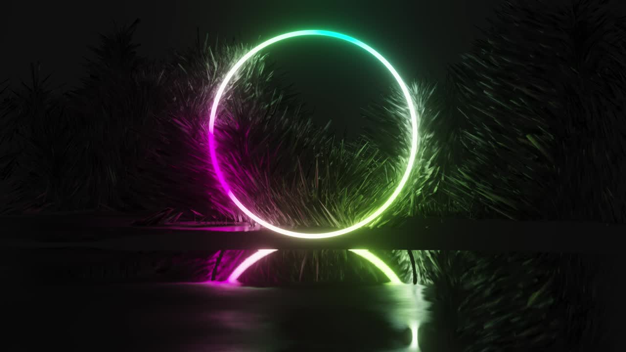 3d 네온 서클의 추상적인 애니메이션