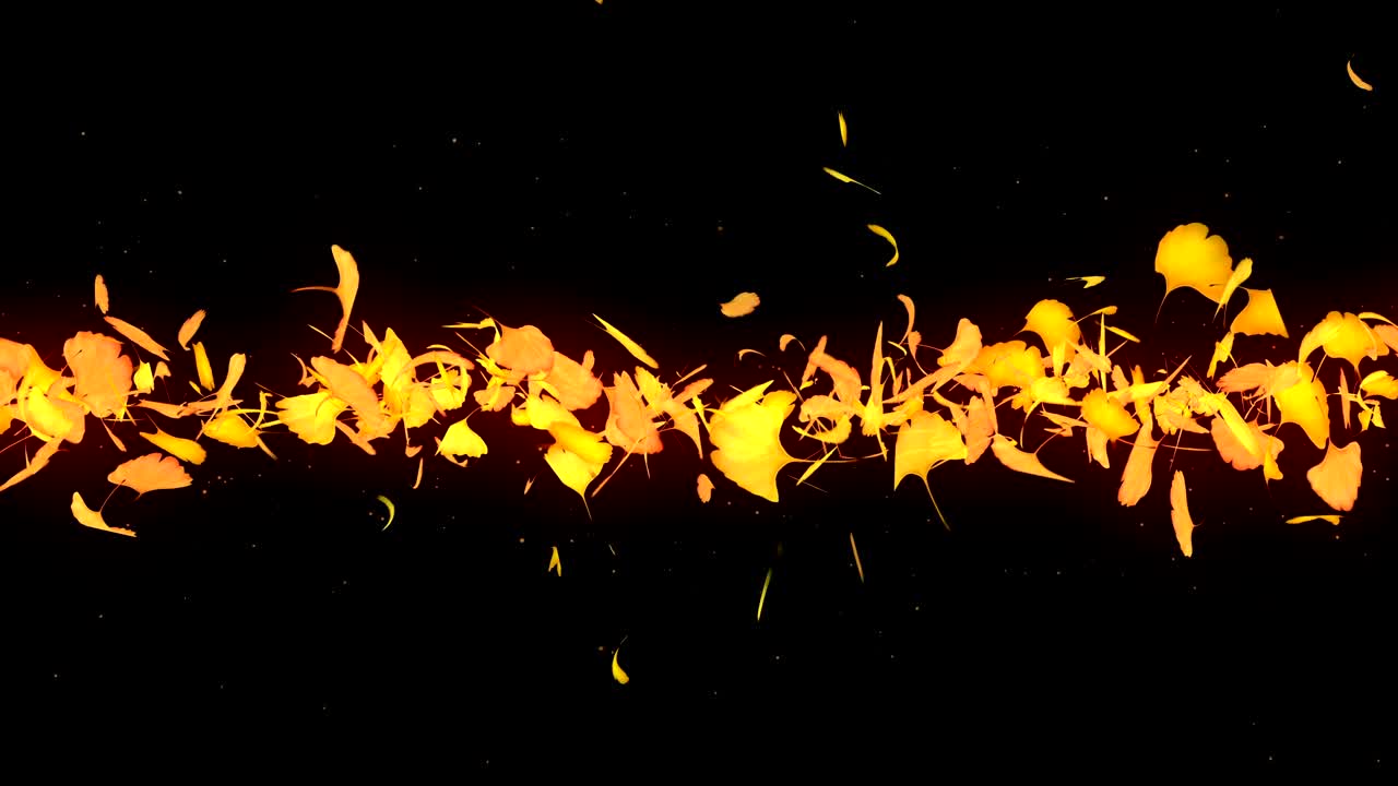검은 바탕에 떨어지는 가을 잎, 고 잎, 루프 글리터 애니메이션