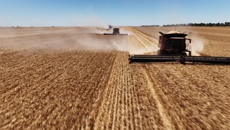 experience the precision and power of a large-scale grain harvesting operation as the fields come alive with activity