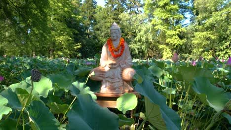 buddhist statue in the middle of a pond full of pink blooming lotus flowers