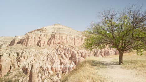 sandstone tuff rock formations red valley cappadocia pan shot