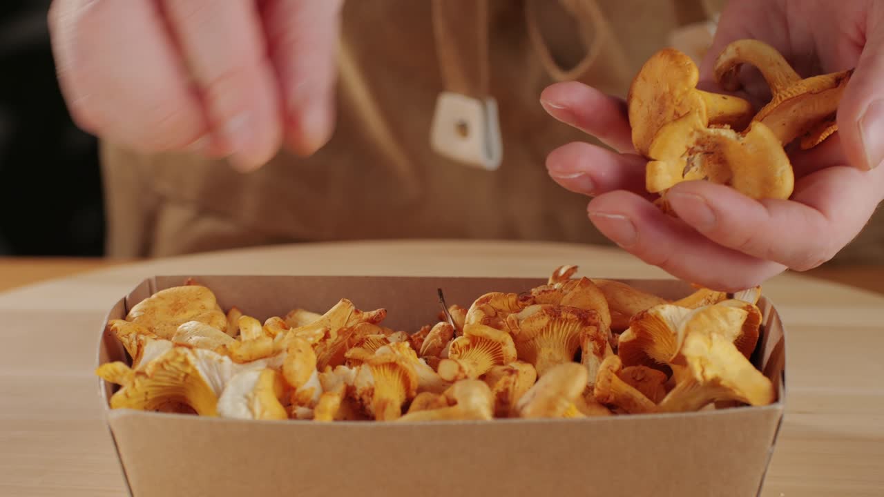 Raw wild chanterelles mushrooms in rustic wooden box close up food, with forest green plants. Organic fresh chanterelle background on a chair.