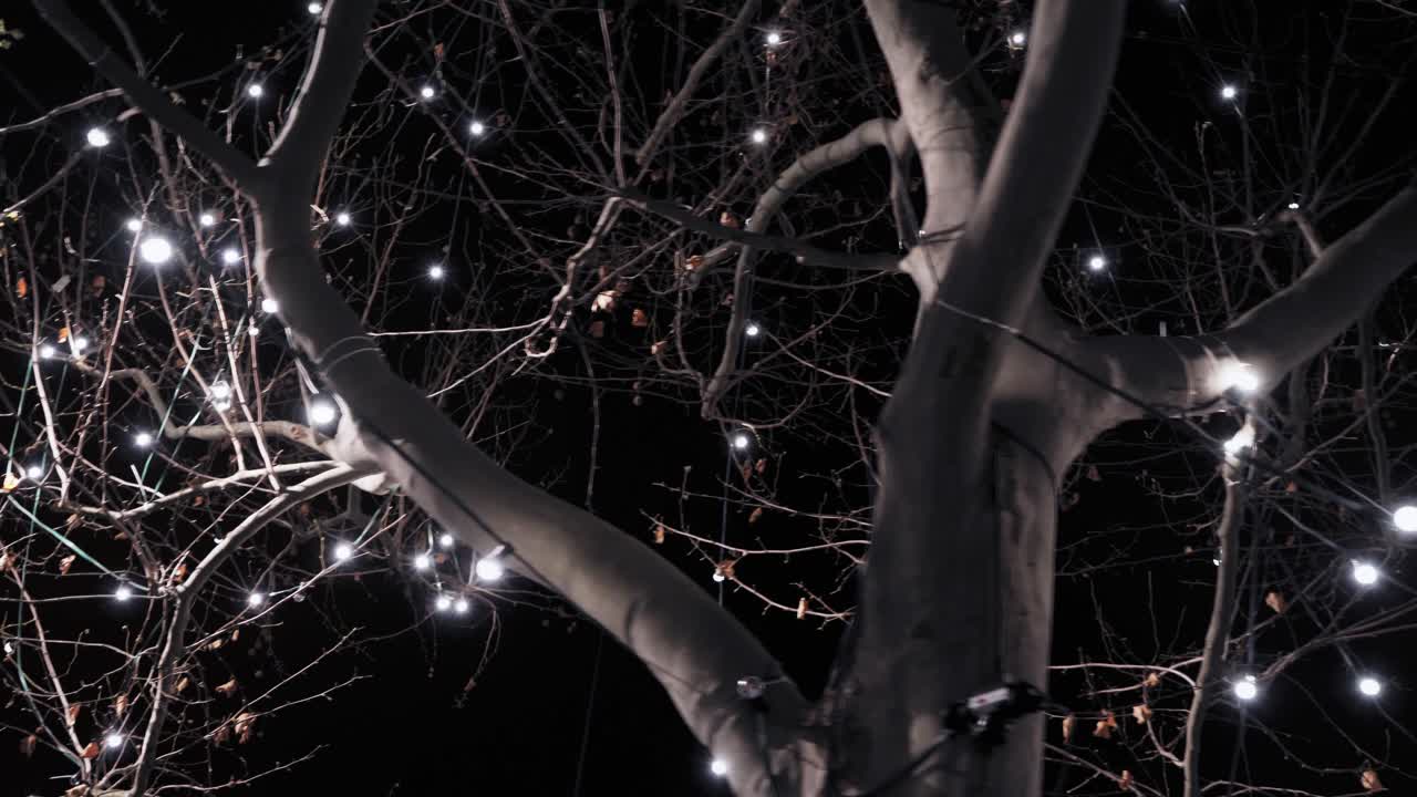 Closeup of christmas light decoration on large tree in city centre Berlin Germany Kurfürstendamm