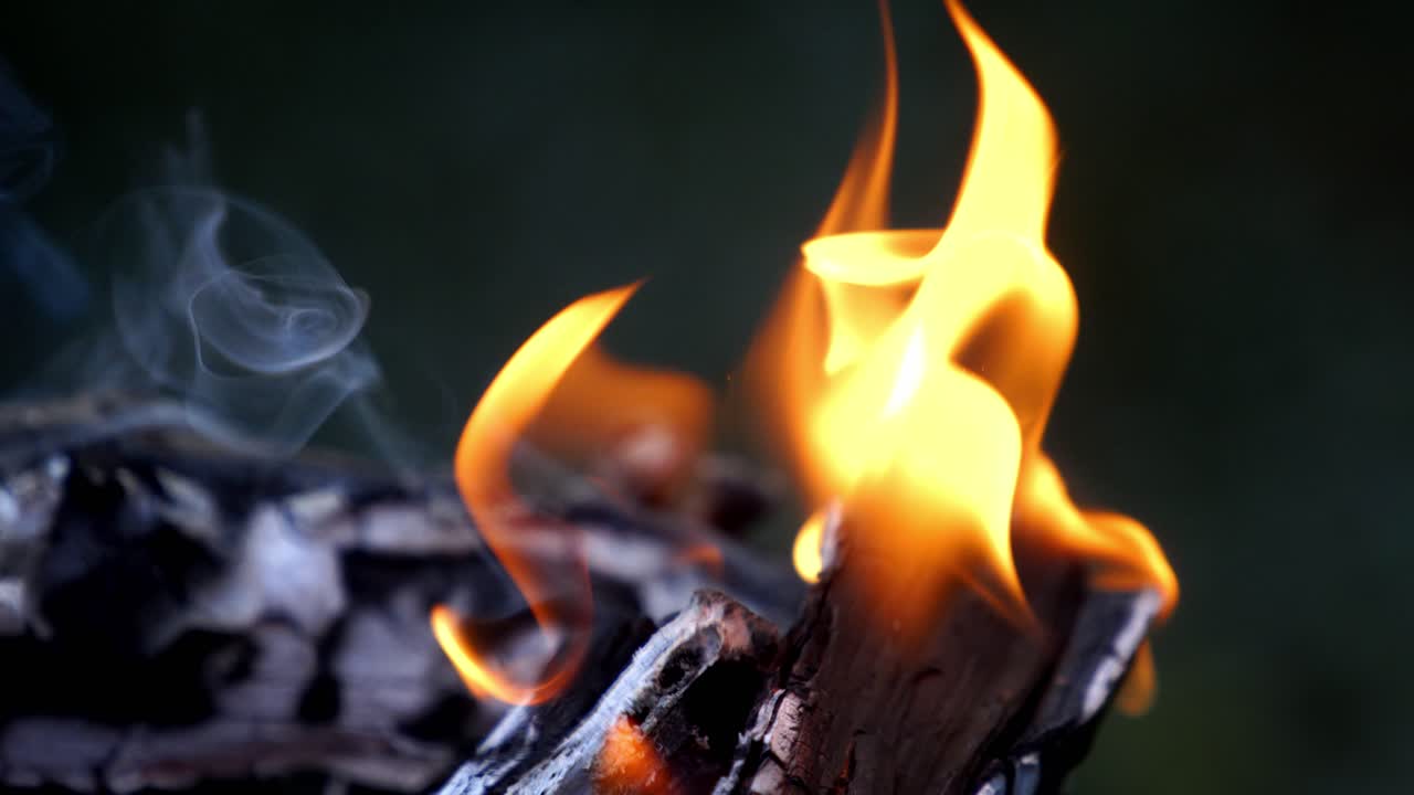 Burning Wood. Bonfire burning at night. Hot coals in the fire