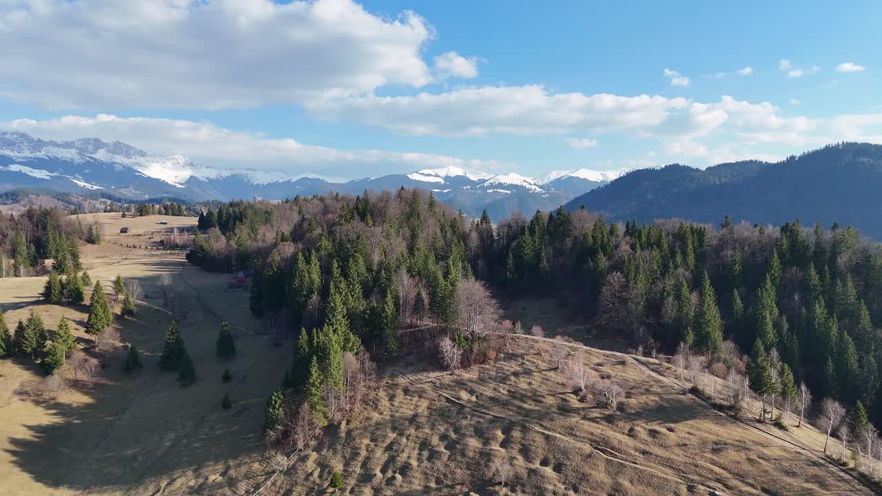 un paisaje montañoso boscoso con picos cubiertos de nieve bajo un cielo azul, vista aérea