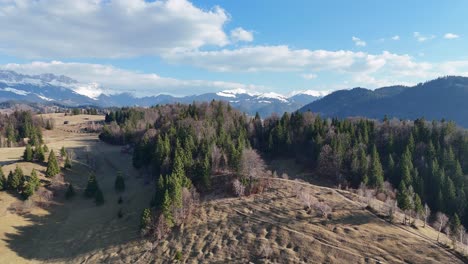 Un-Paisaje-Montañoso-Boscoso-Con-Picos-Nevados-Bajo-Un-Cielo-Azul,-Vista-Aérea