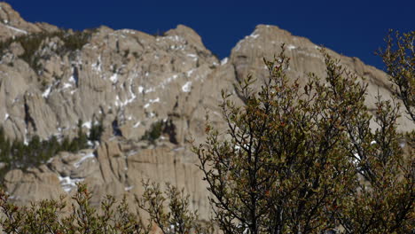 rocky mountain with trees in the foreground