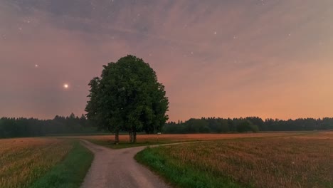 Zeitraffer-Von-Sich-Bewegenden-Sternen-In-Einer-Bewölkten-Nacht-In-Einer-Wunderschönen-Landschaft