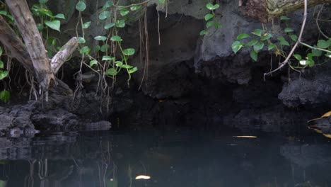 Una-Cueva-De-Roca-Volcánica-Oscura-En-Un-Estanque-Termal-En-La-Jungla