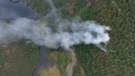 incendios forestales que queman el bosque de montaña en el valle de un río remoto de noruega