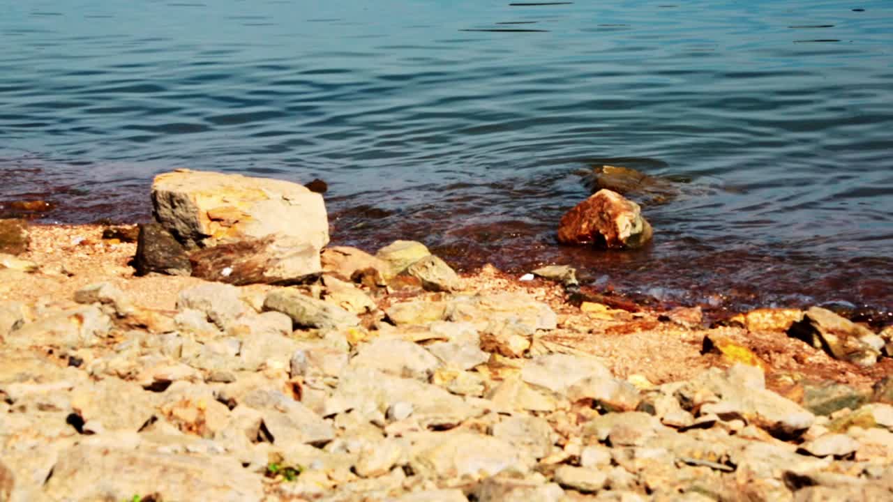 Primo piano di onde d'acqua calme che colpiscono le rocce in una giornata di sole