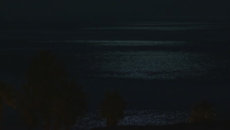 night palms over water