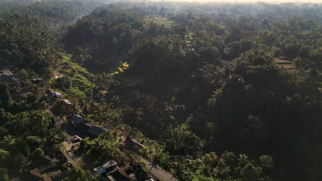 THE-SCENIC-GREENERY-OF-A-RICE-TERRACE-IN-UBUD-REGION---BALI,-INDONESIA