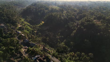 the scenic greenery of a rice terrace in ubud region - bali, indonesia