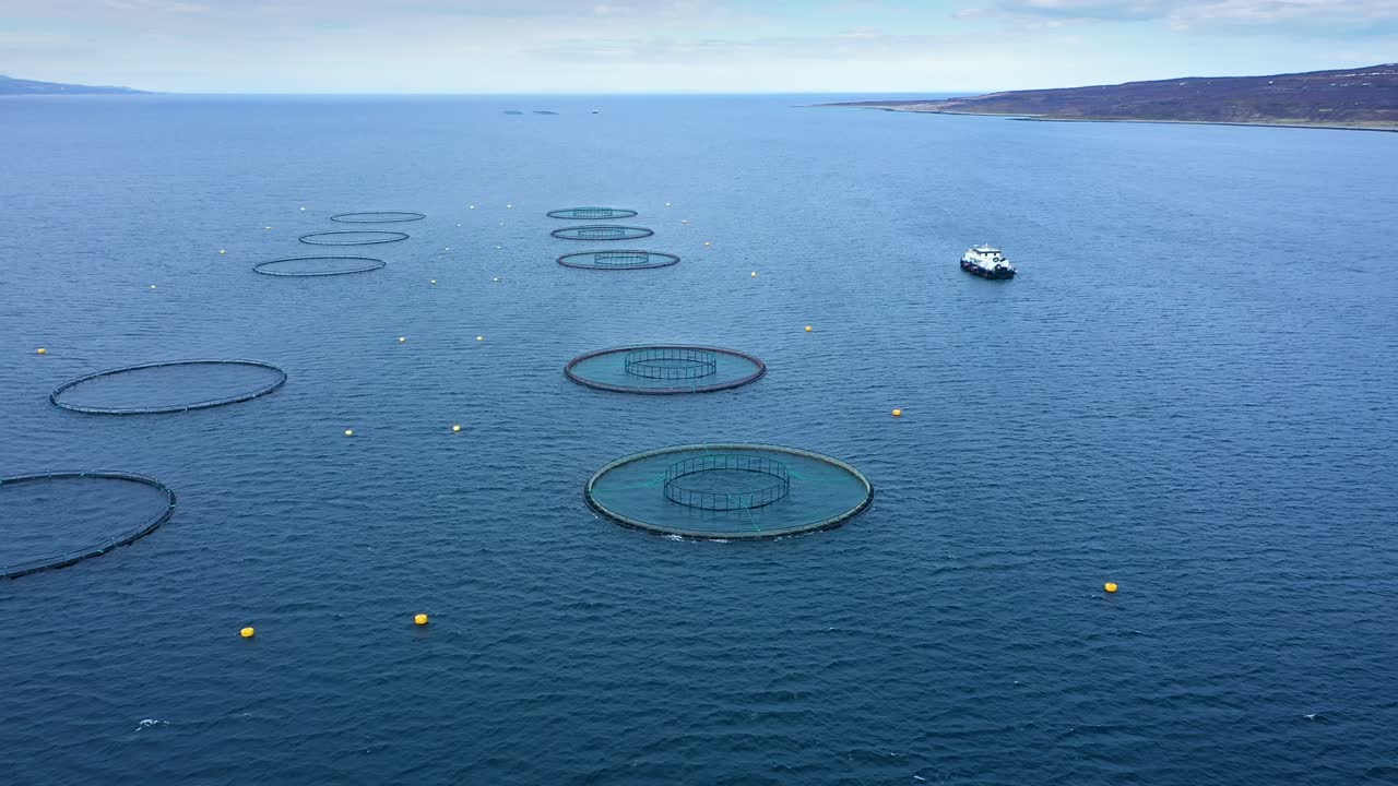 노르웨이에서 연어  ⁇ 시를 하는 공중 촬영