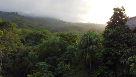 Abstieg-In-Den-Dichten-Sonnenbeschienenen-Dschungel-Santa-Marta