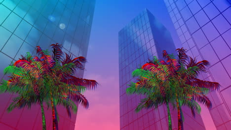 palm trees and buildings