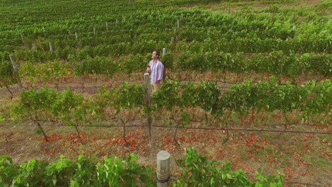 Drohnenaufnahmen-Eines-Mannes,-Der-Rotwein-Trinkt