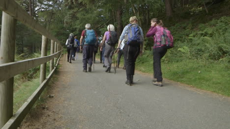 Eine-Gruppe-Von-Wanderern,-Die-Auf-Einem-Schönen-Weg-Neben-Einem-See-Beginnt