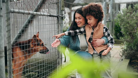 family visiting dog shelter