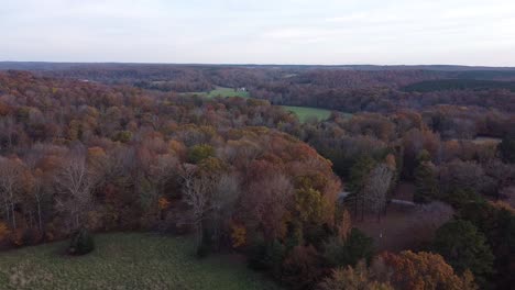 Dichte-Waldbäume-Auf-Dem-Land-Während-Der-Herbstsaison