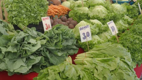 fresh vegetables at farmers market